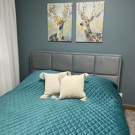 Apartament Sosnowy Zakatek 格利维采 外观 照片