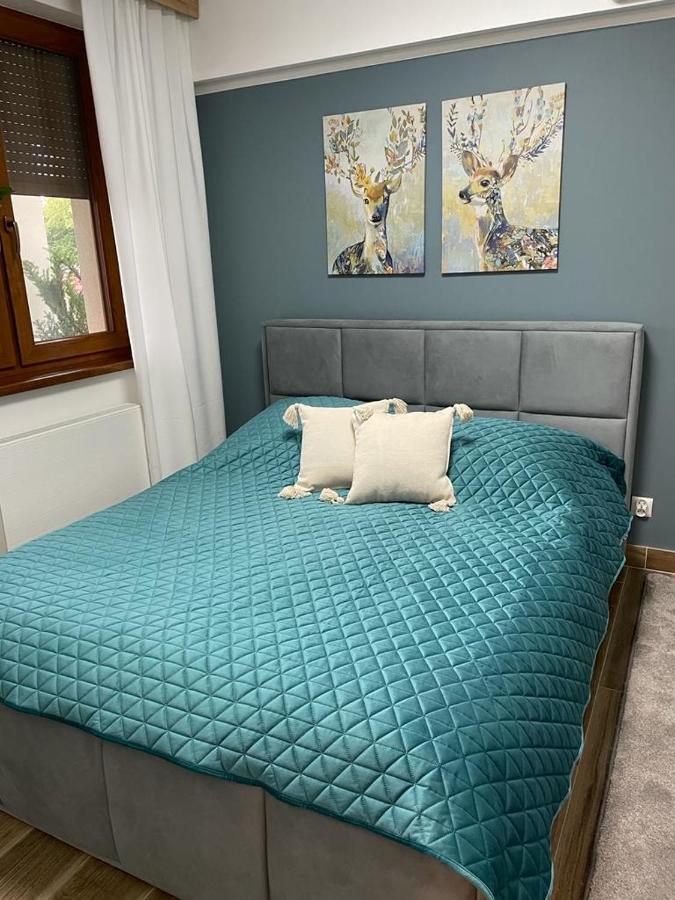 Apartament Sosnowy Zakatek 格利维采 外观 照片