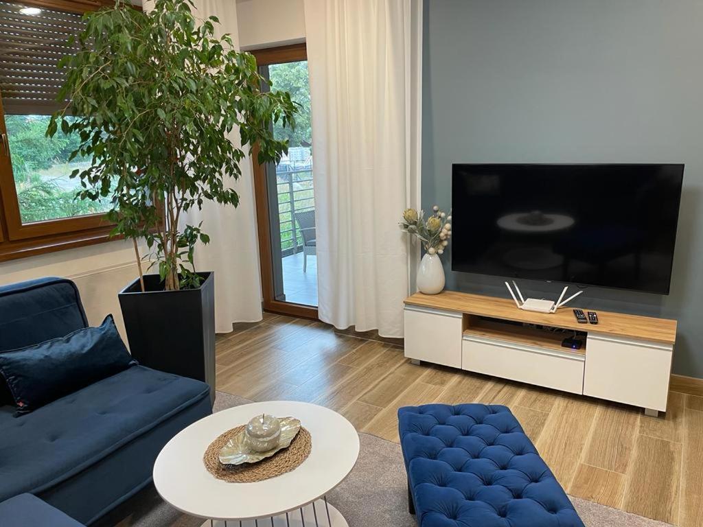 Apartament Sosnowy Zakatek 格利维采 外观 照片
