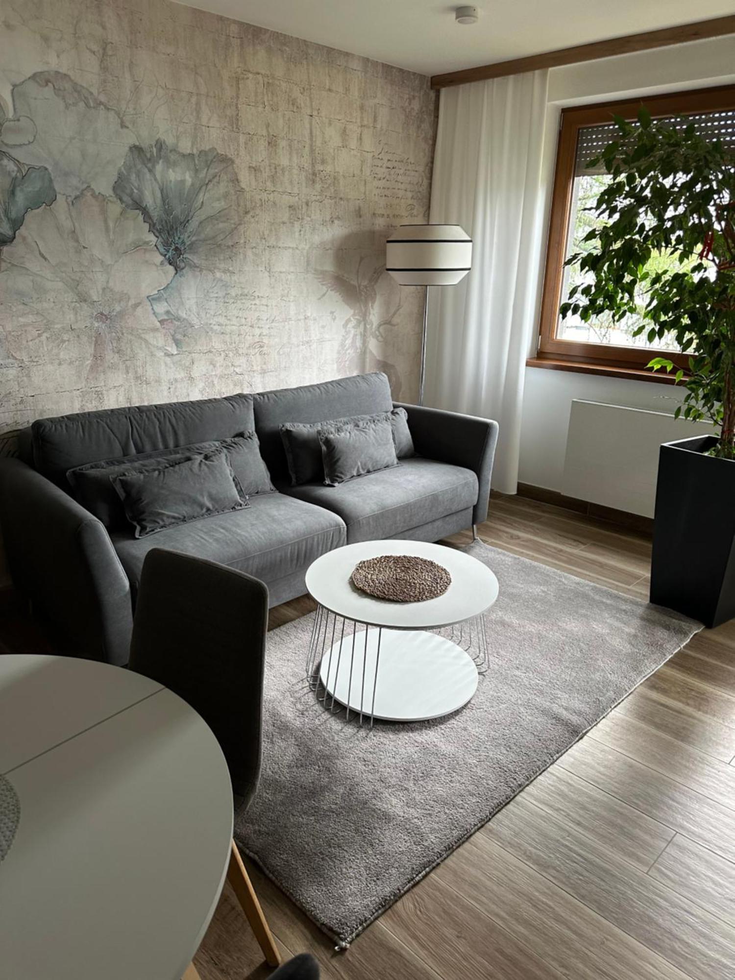 Apartament Sosnowy Zakatek 格利维采 外观 照片